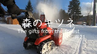 雪かき】＃21 北国の雪かきと除雪機を選ぶポイント。 #雪かき #森の
