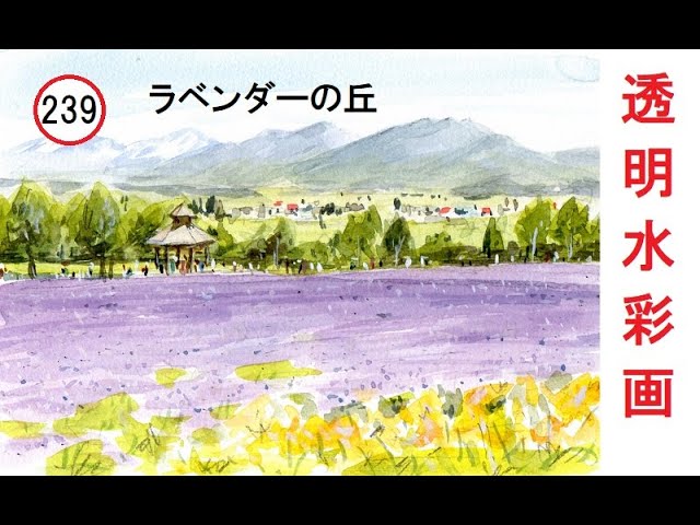 239】ラベンダー畑を描く 藤森水彩画 watercolor: Draw lavender