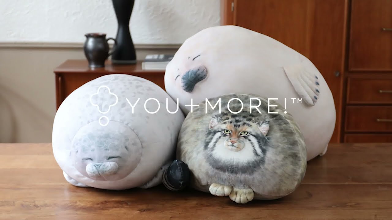 YOU+MORE! のほほんアザラシアラレちゃん もっちりビッグクッション