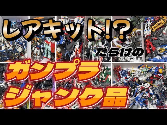 ガンプラ】ゴミか！？お宝か！？ジャンク詰め合わせからレアキット探し