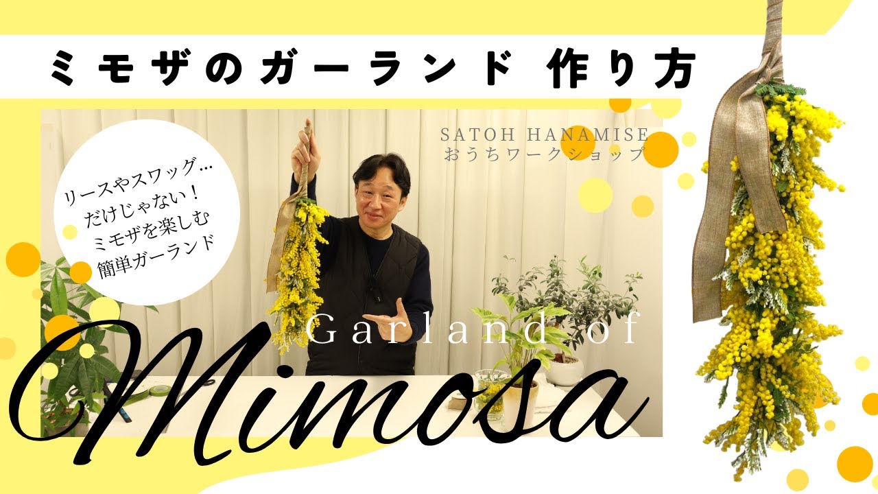 リースやスワッグだけじゃない！ミモザを楽しむガーランドの作り方