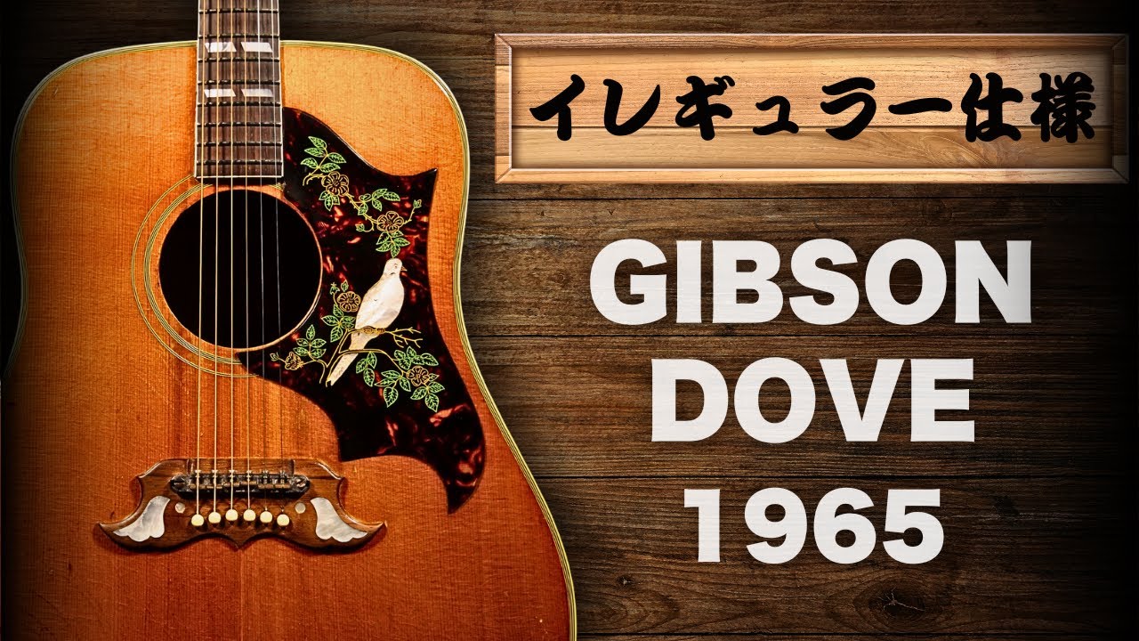 Gibson Dove 1965] Regular Neck. The faded cherry sunburst finish