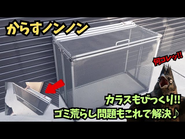 Crow Prevention] Review of the crow-repellent trash can 