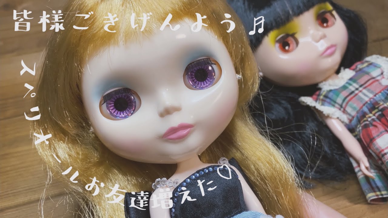 ネオブライス】 パウワウポンチョ可愛すぎ！【Blythedoll】 - YouTube
