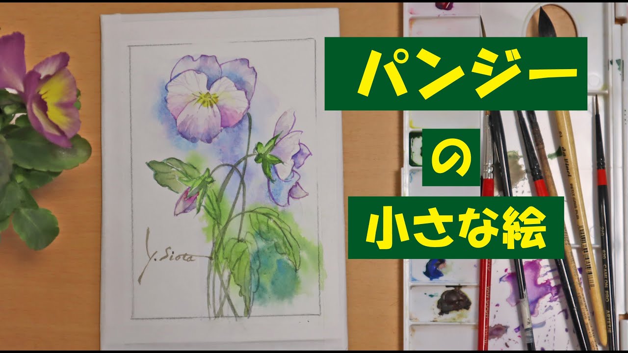 透明水彩画】パンジーの小さな絵 - YouTube