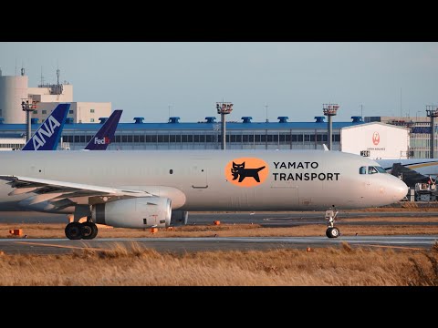 Yamato Transport Airbus A321P2F JA81YA Takeoff from Narita 16R