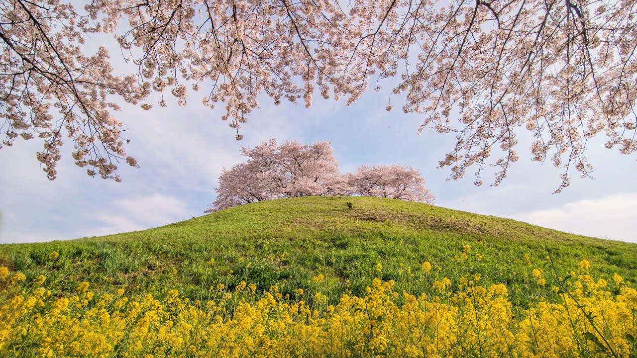 kei☆レア♡高品質グリーン桜瑪瑙スフィアNo.1720 Big kei様専用レア高