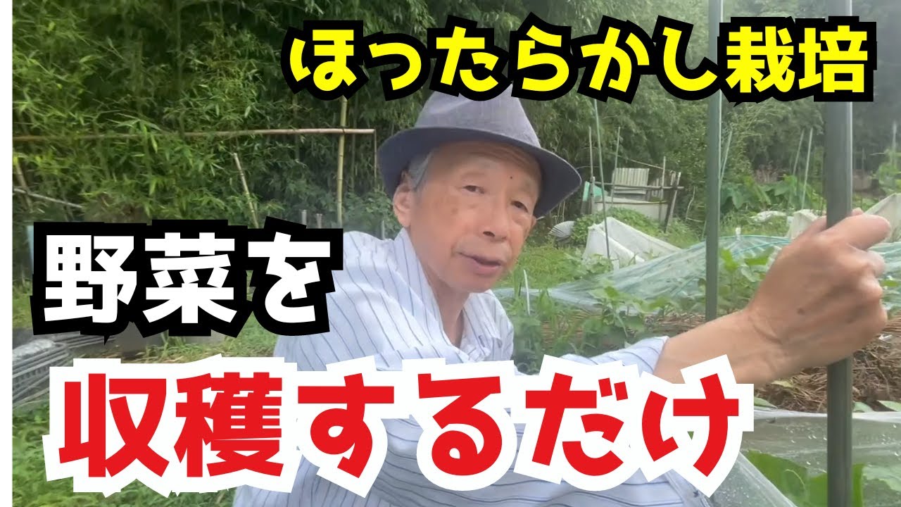 Hands-off farming] Tips for growing delicious vegetables without