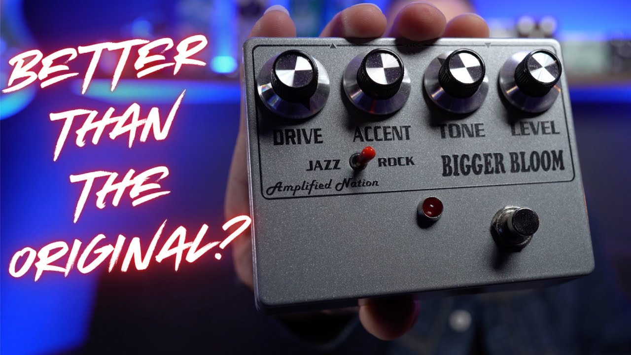 Bigger Bloom Overdrive - Amplified Nation