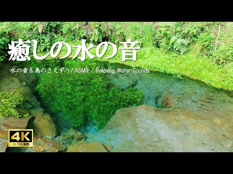 癒しの水の音 鳥のさえずり：自律神経を整える、リラクゼーションにご