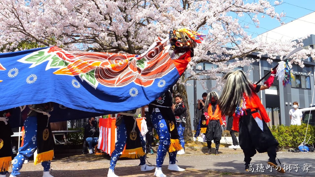満開の桜の下の獅子舞 高穂町獅子舞 2022年 - YouTube