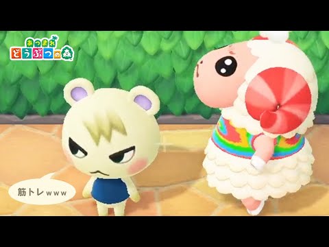 激おこ】ジュンがちゃちゃまるを馬鹿にするwww【あつまれどうぶつの