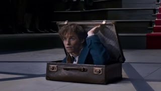 不思議なトランクの中が明らかに！映画『ファンタスティック・ビースト