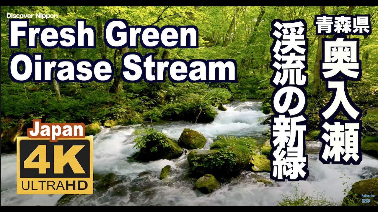 4K 奥入瀬渓流の新緑 Fresh Green Oirase Stream in nature is