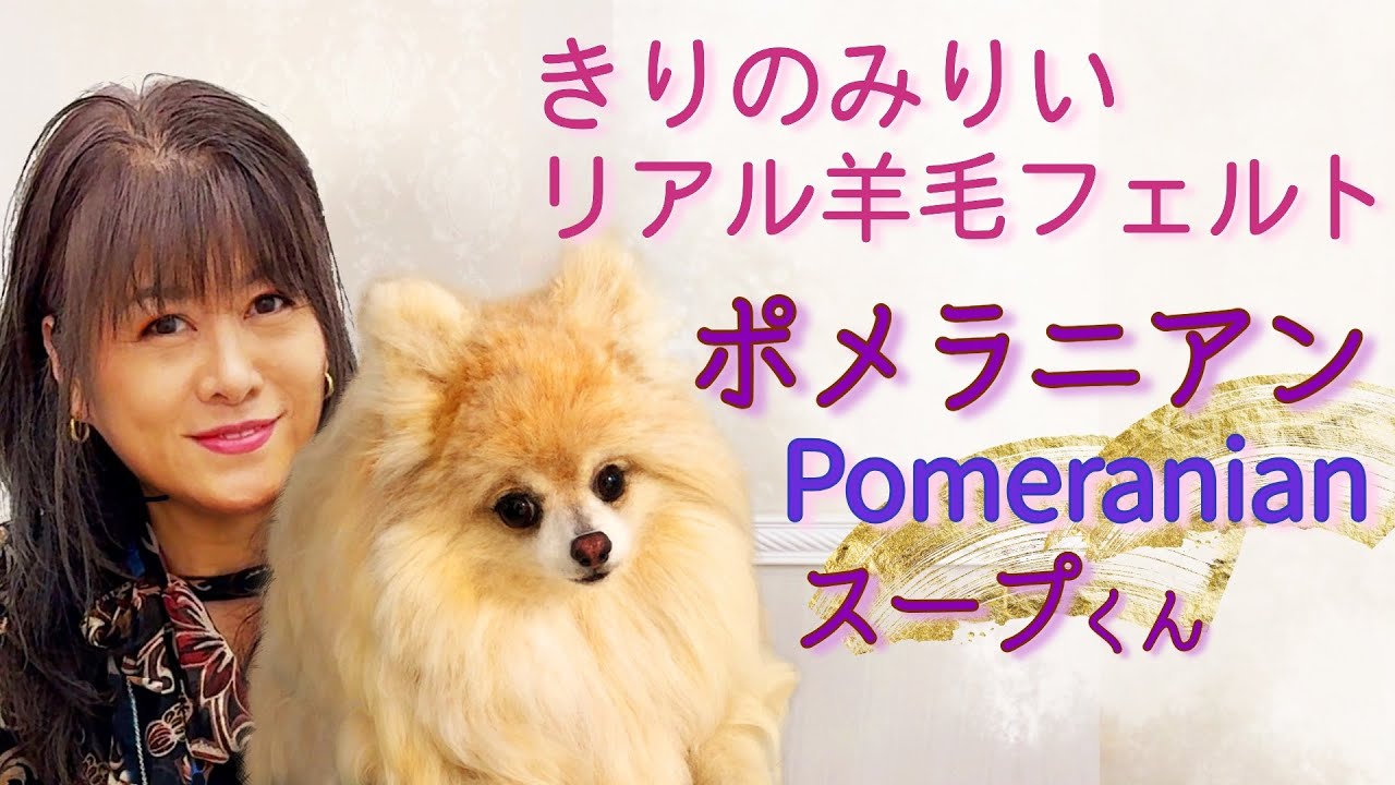 わたわたペットのうちの子プレート【リアル可愛い羊毛作品】 - YouTube