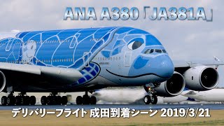 ANA A380「フライングホヌ」1号機 デリバリーフライト 成田空港 2019年