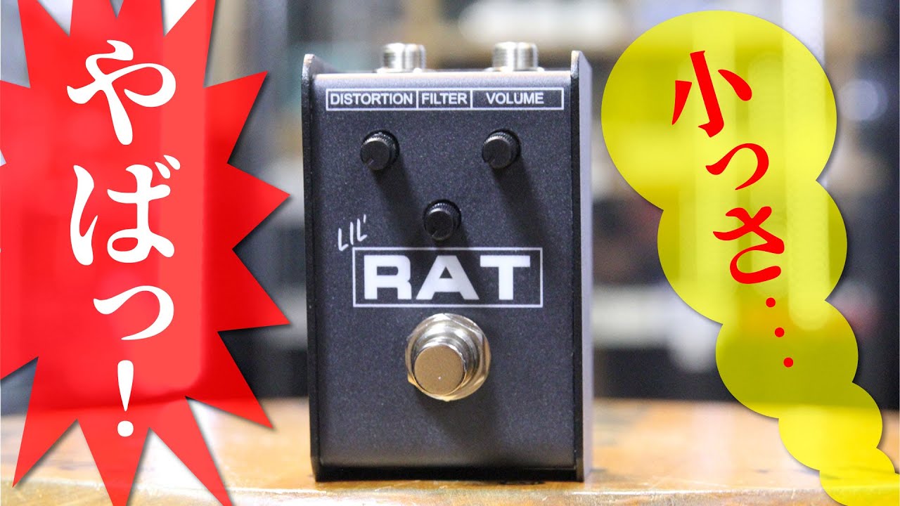 第九弾】小さすぎっ！！新発売のPro Co LIL RATを解説！！ - YouTube