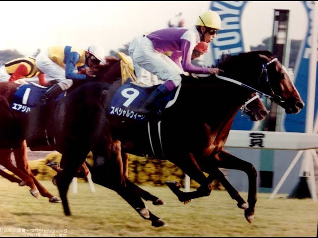 1999 天皇賞秋 GⅠ スペシャルウィーク 武 豊 - YouTube