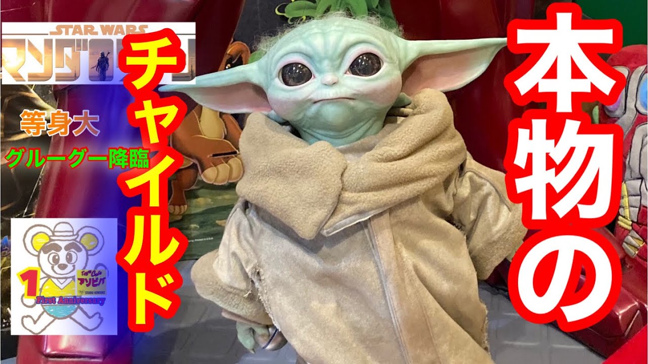 本物！？】チャイルド（グローグー）等身大 『マンダロリアン』 降臨
