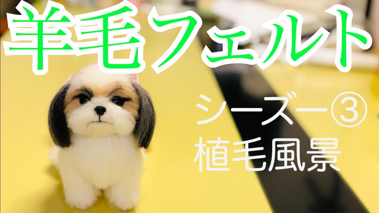 羊毛フェルト】シーズー③ 初心者様の為の植毛風景 - YouTube