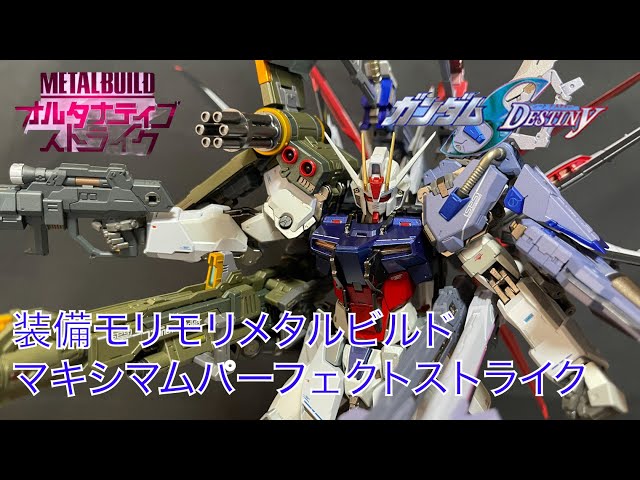 METALBUILD/メタルビルド】オオトリ装備モリモリマキシマム