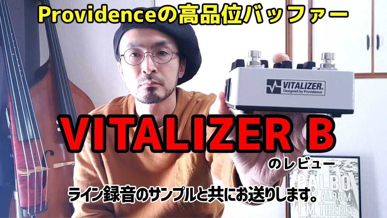 Providenceのベース用バッファー「VITALIZER B」のレビュー！ライン