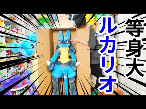 等身大ルカリオぬいぐるみ！！開封！！ - YouTube