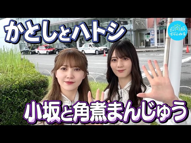 ひなたフェス2024への道】PRポスター貼りでおひさま化計画in長崎 - YouTube