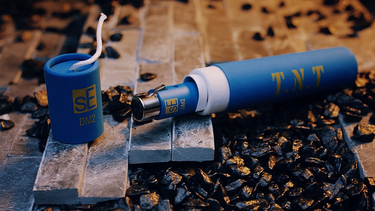 DM2 TNT - sE Electronics | Hookup, Inc.