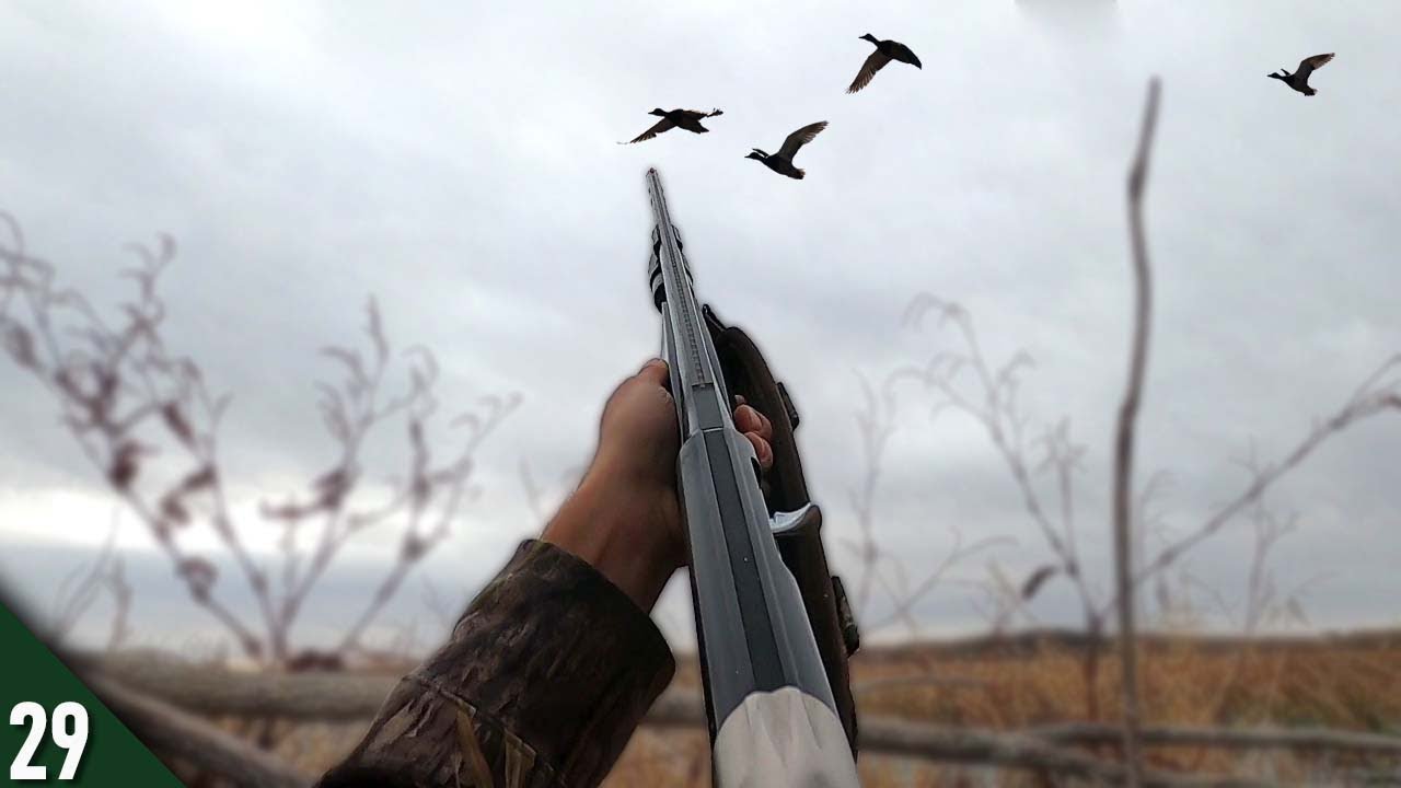 Hunting MALLARDS Out of A STICK BLIND! (Limited Out) | 28 Gauge