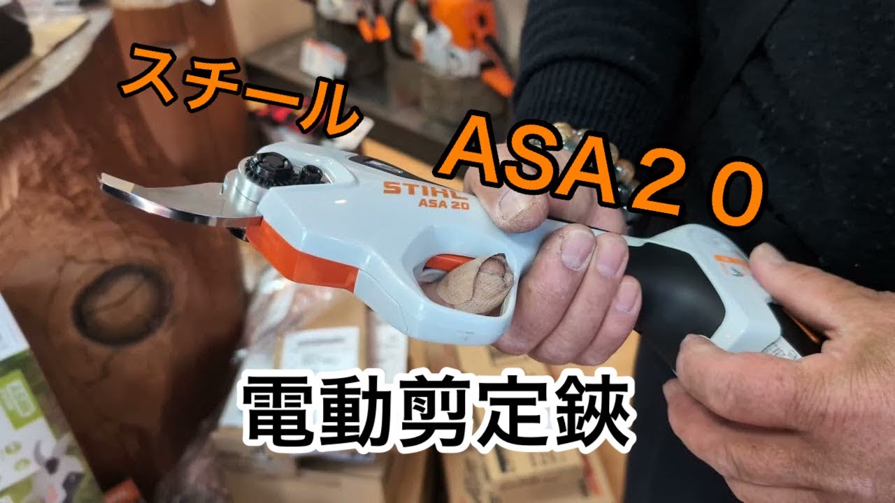 スチール電動剪定鋏を購入 - YouTube