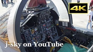 4K] 航空自衛隊 F-15 コックピット見学 / 美ら島エアーフェスタ 2017