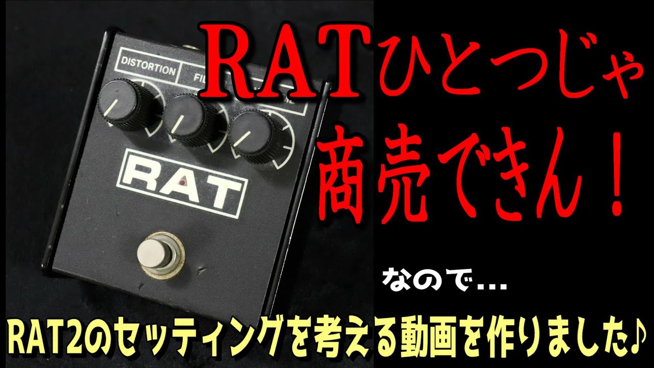 ラット1つじゃ商売道具にならんのでセッティングを考えてみる！【Proco