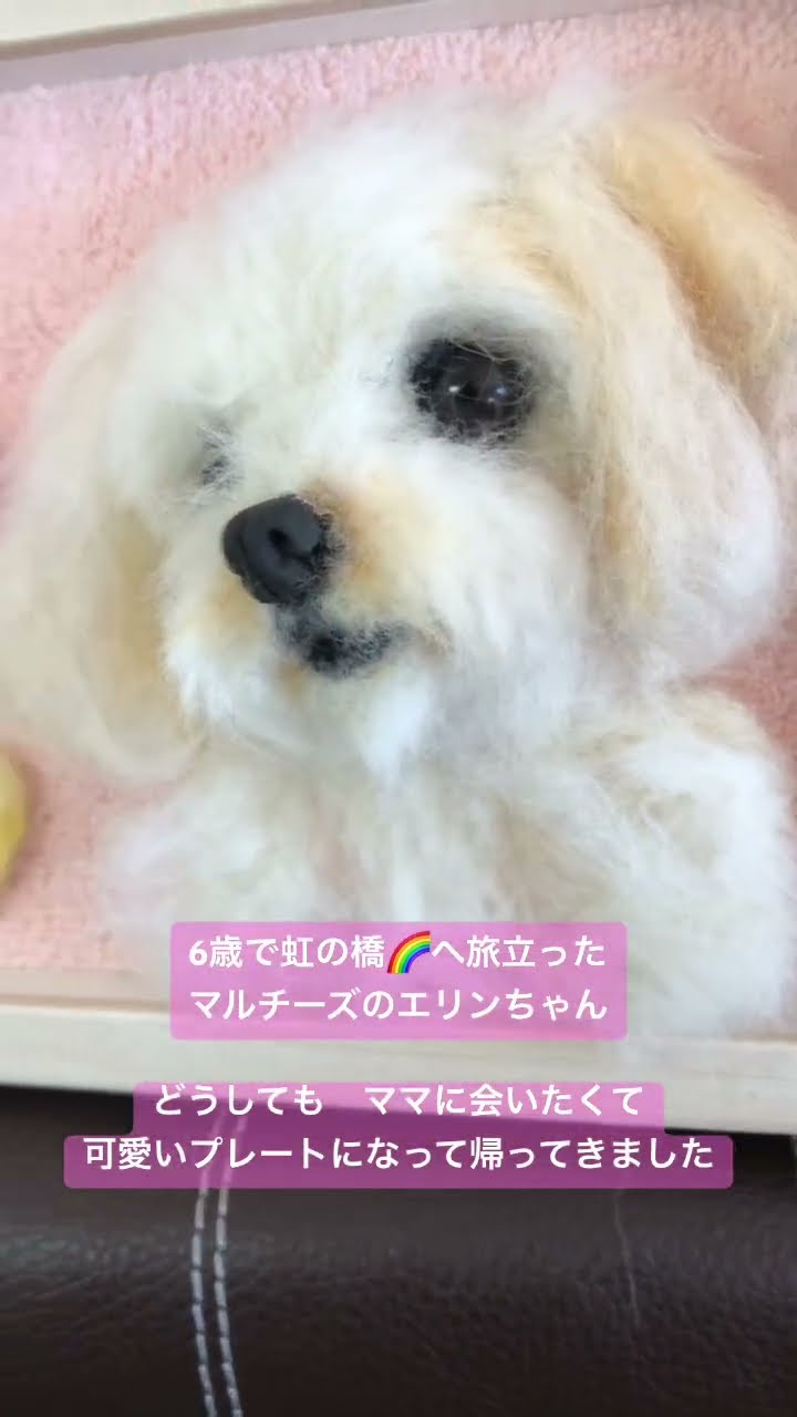 needlefelting #dog #羊毛フェルト #愛犬グッズ #愛犬そっくり