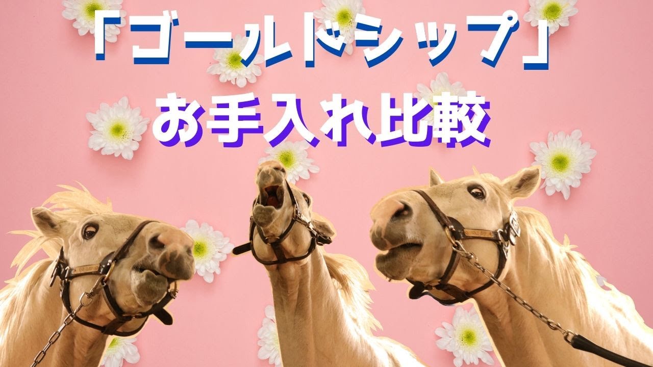 Gold Ship Care Comparison] Jo Cappuccino and Grass Wonder are also