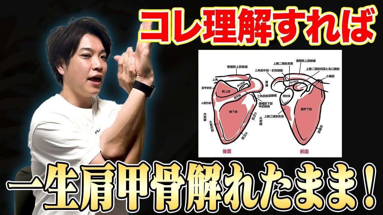 Stiff shoulders] With proper knowledge of the shoulder blades