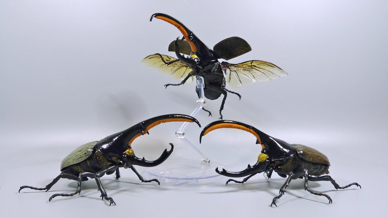 いきもの大図鑑アドバンスのヘラクレスオオカブトを紹介するよ