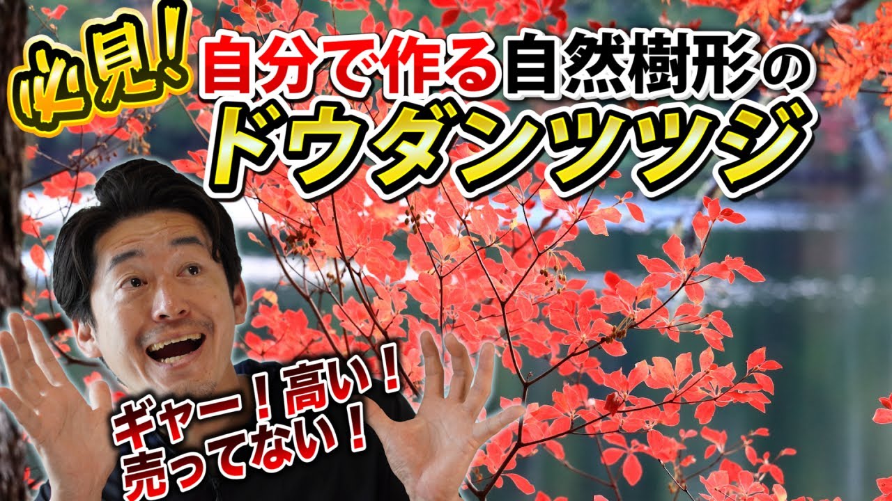 If you buy it, it will cost you tens of thousands of yen] If you