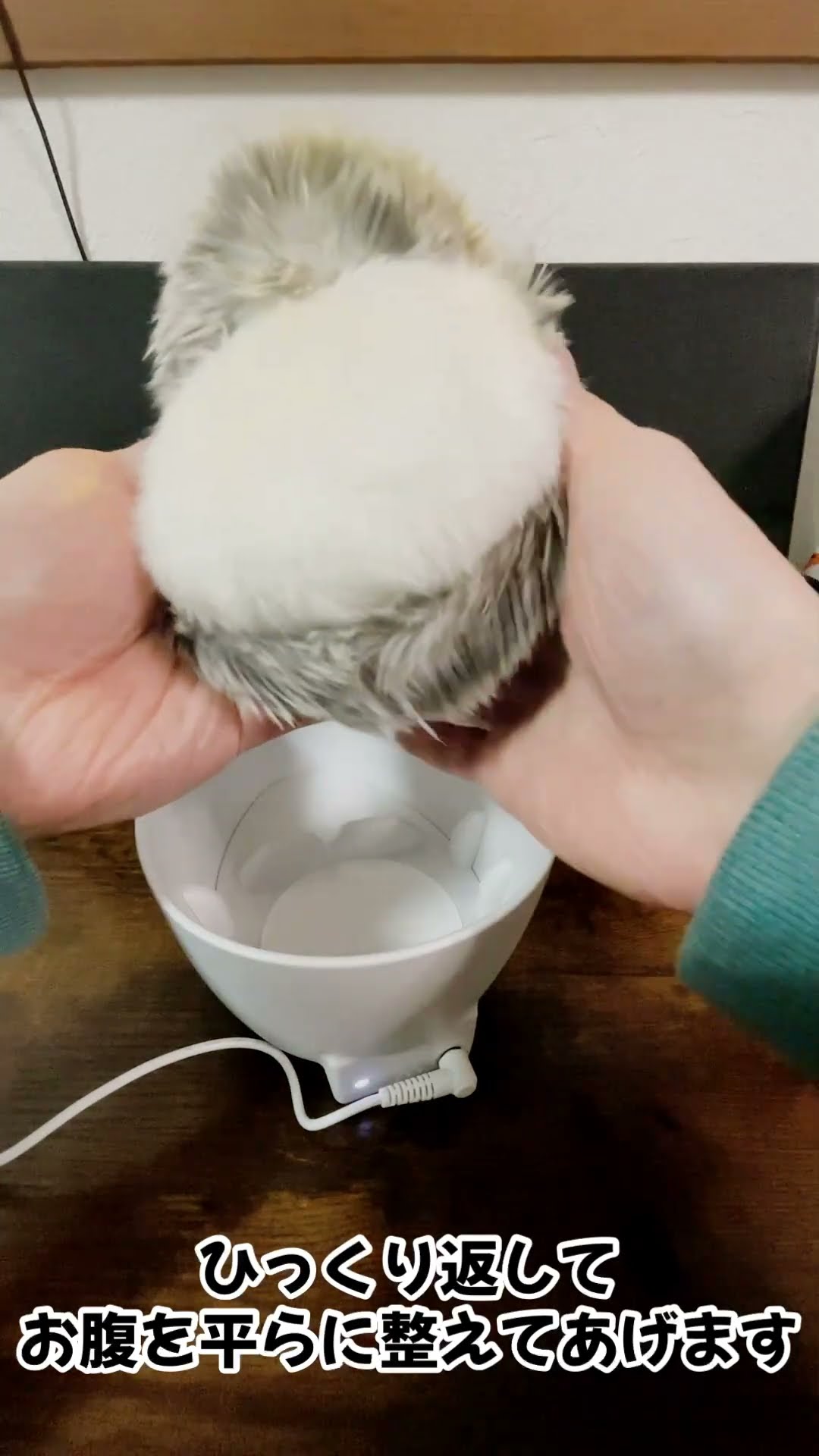 モフリンの充電が上手くいかない時に見るやつ【Moflin】 - YouTube