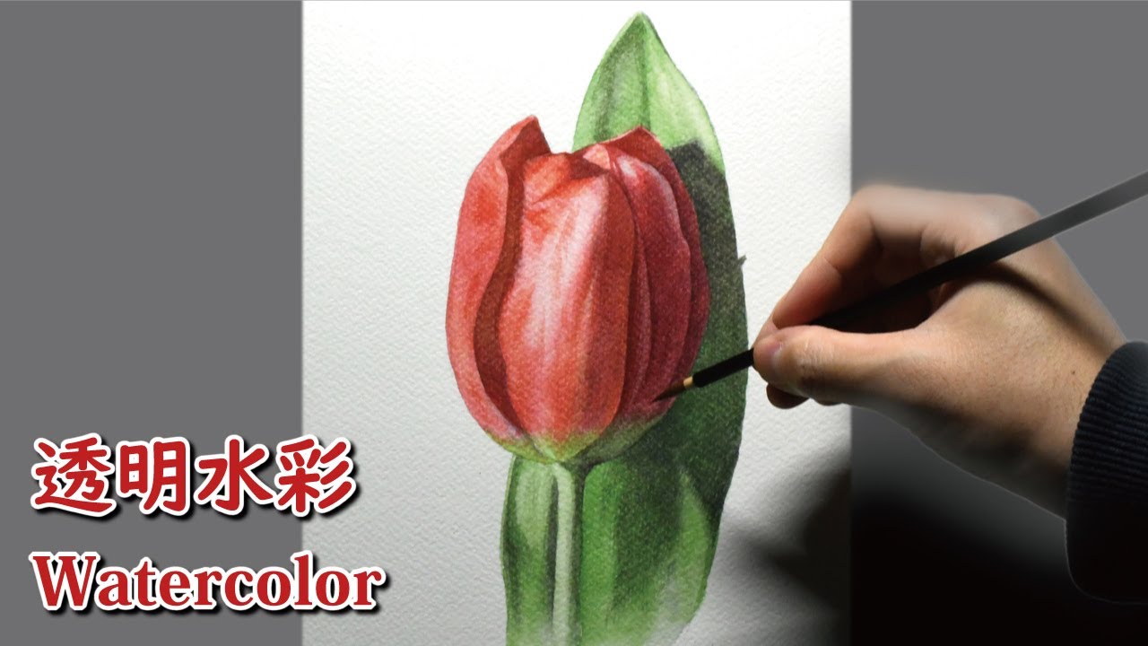 水彩画] 1時間20分で描くリアルなチューリップの花のメイキング | 描き
