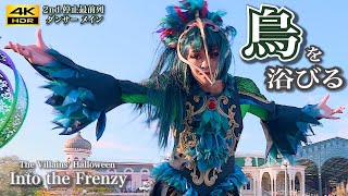 最高画質／迫力の最前列】魅惑の「カラス」ダンサーに沼る！ ザ