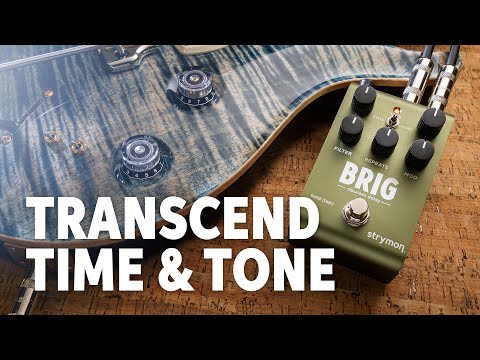 Strymon Brig Multi-voice dBucket Delay Pedal | Sweetwater