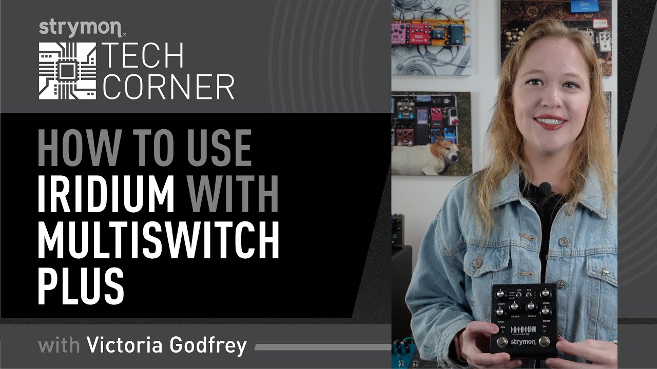 Iridium Support - Strymon