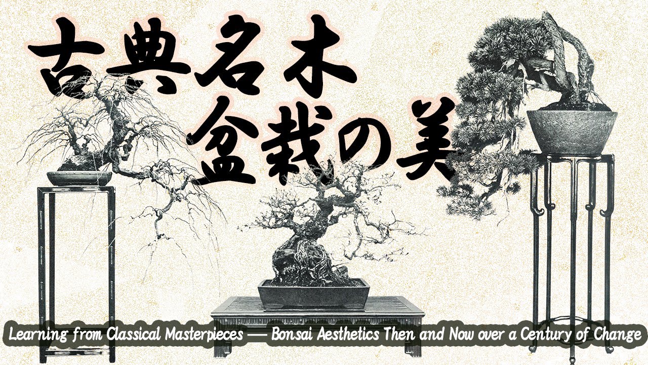 Learning from Classical Masterpieces — Bonsai Aesthetics Then and