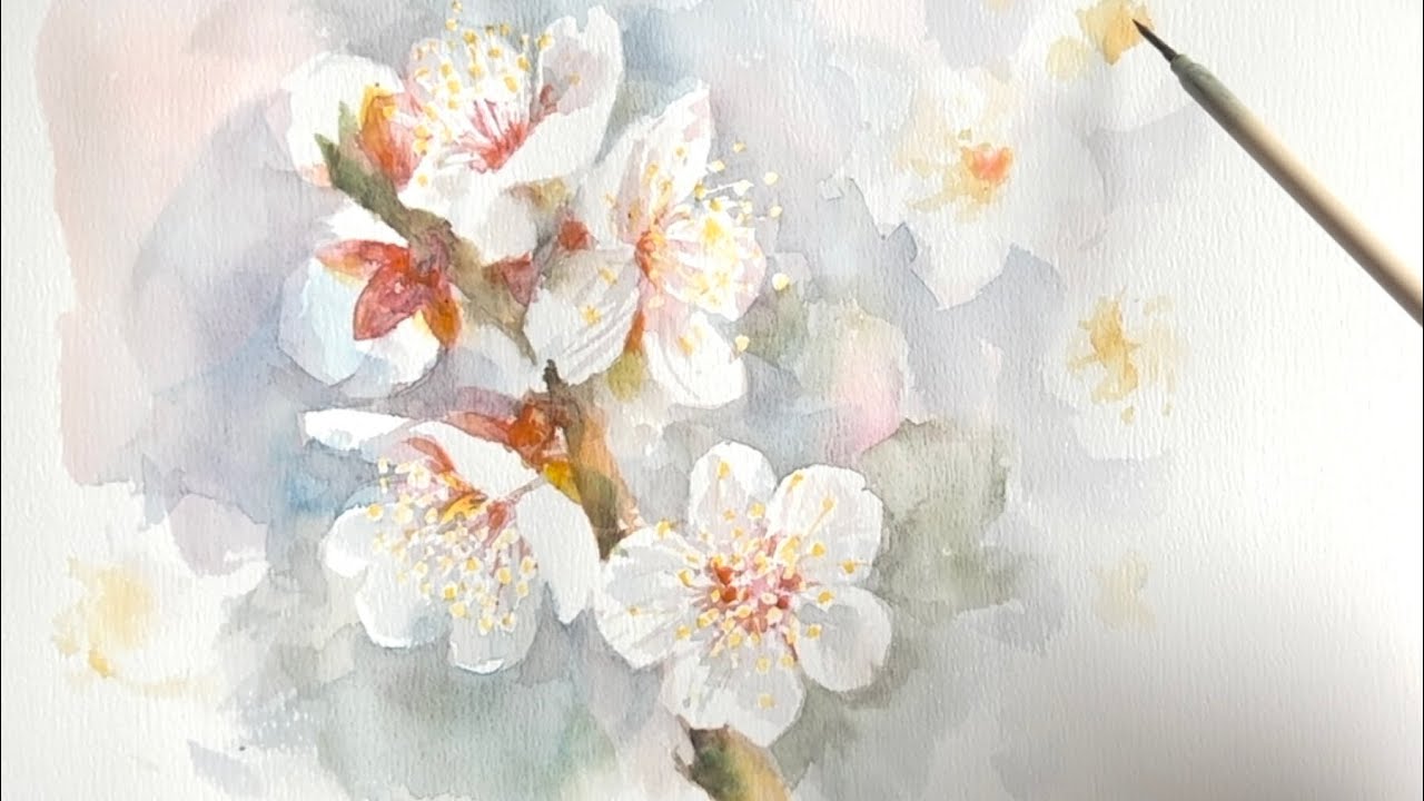 水彩画]梅の花を描く/watercolorpainting - YouTube