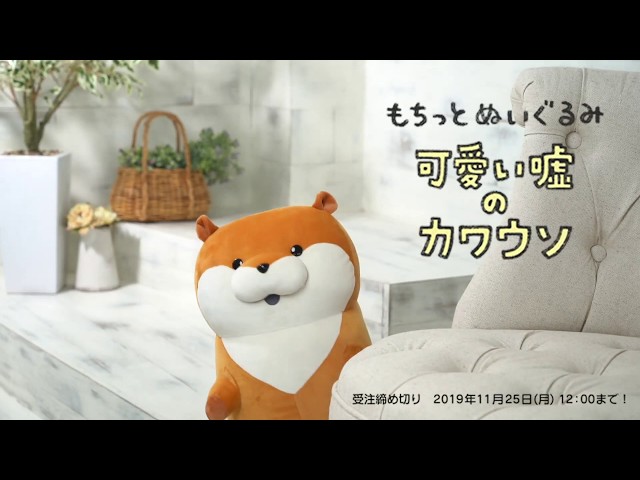 可愛い嘘のカワウソ もちっとぬいぐるみ【Gray Parka Service】 - YouTube