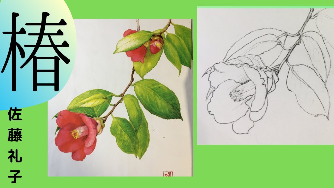 佐藤礼子の水彩画】⑪🔰初心者向けデッサン 椿の花の色見本 混色の方法