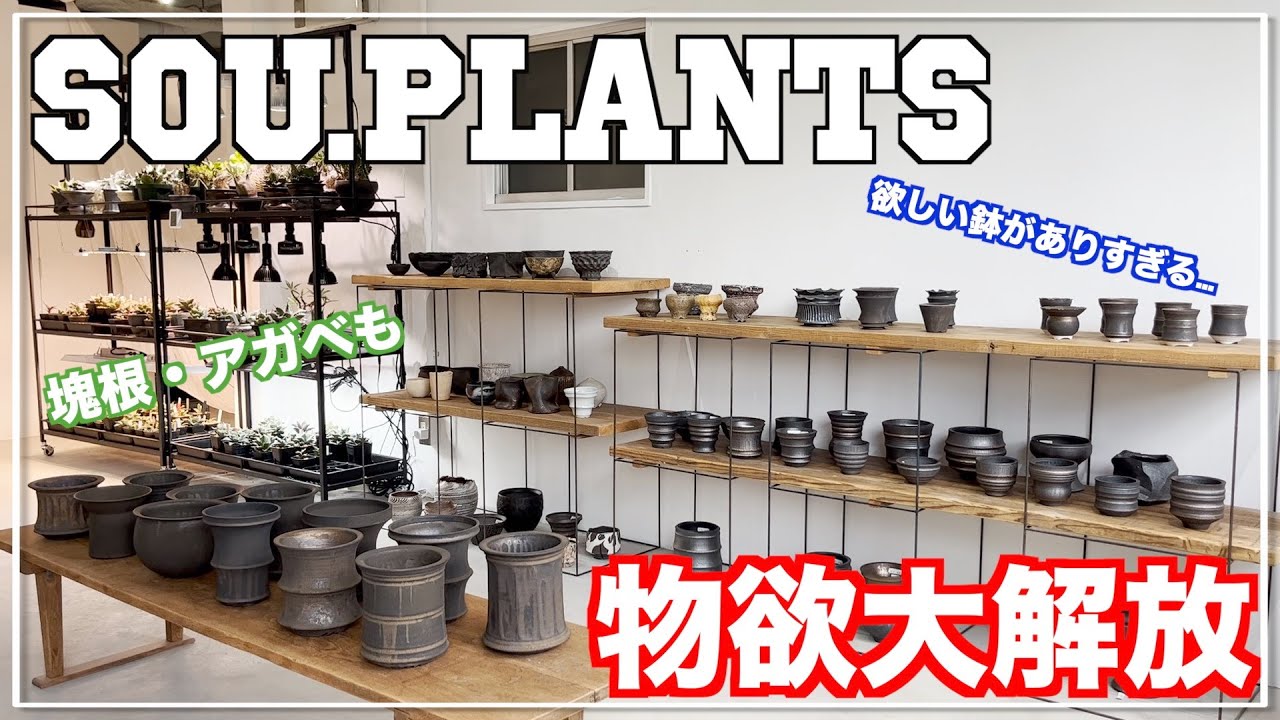 If you're looking for or looking for an artist's pot, this is the