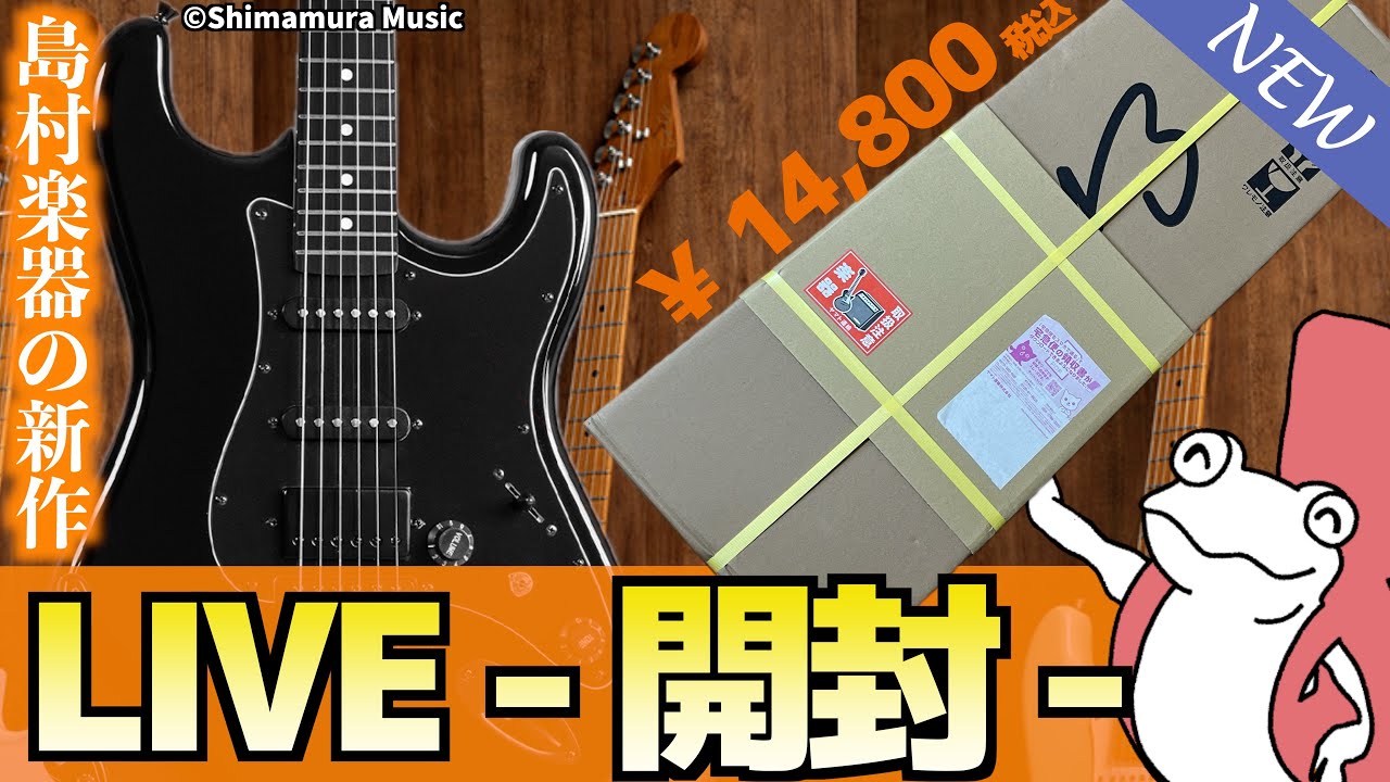 売切れ続出】価格崩壊と話題の新作ギター『Eris. Nestia』開封