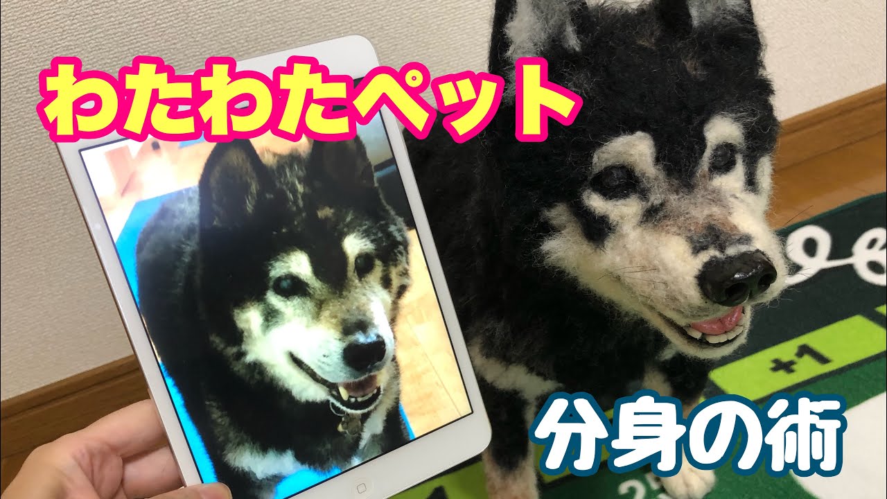 わたわたペットの分身の術【羊毛フェルト】リアルぬいぐるみ - YouTube